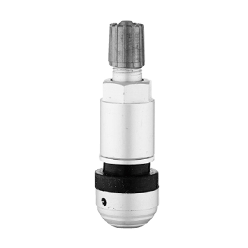 TPMS ventili-TPMS-09